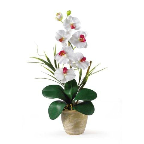 White Single Stem Phalaenopsis Silk Orchid Arrangement