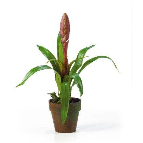 Mauve Potted Single Sword Bromeliad Silk Flower Arrangement