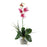 Pink Mini Phalaenopsis Liquid Illusion Silk Orchid Arrangement