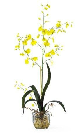 Yellow Oncidium Liquid Illusion Silk Orchid Arrangement