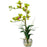 Green Dendrobium w-Glass Vase Silk Flower Arrangement