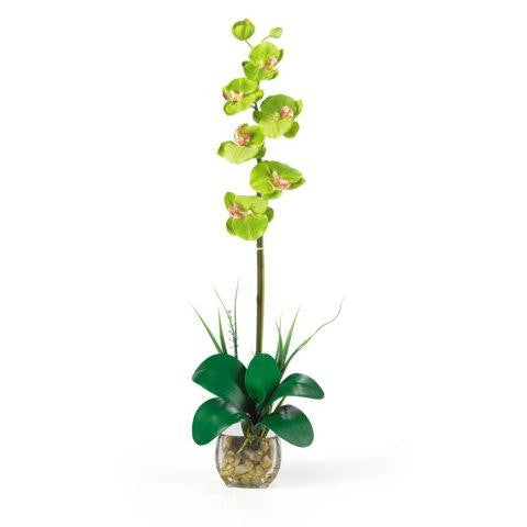 Green Single Phalaenopsis Liquid Illusion Silk Flower Arrangement