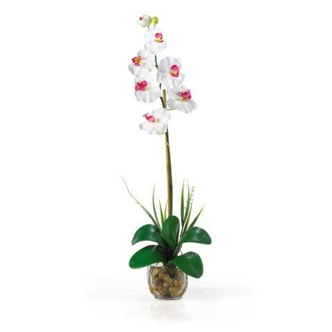 White Single Phalaenopsis Liquid Illusion Silk Flower Arrangement