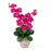 Beauty Double Stem Phalaenopsis Silk Orchid Arrangement