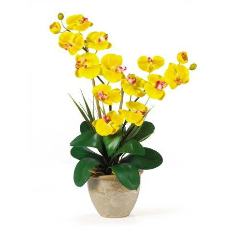 Yellow Double Stem Phalaenopsis Silk Orchid Arrangement