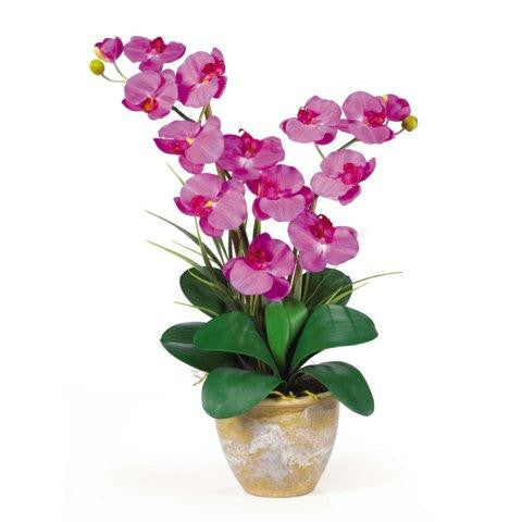 Orchid Double Stem Phalaenopsis Silk Orchid Arrangement