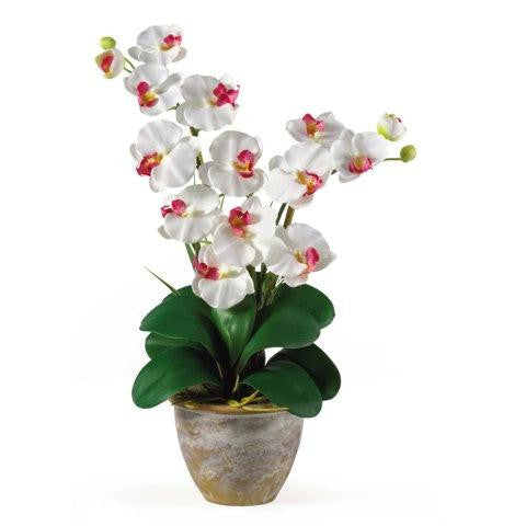 White Double Stem Phalaenopsis Silk Orchid Arrangement