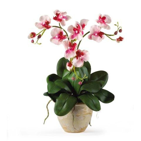 Pink Triple Mini Phalenopsis Silk Orchid Arrangement