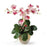 Pink White Triple Mini Phalenopsis Silk Orchid Arrangement