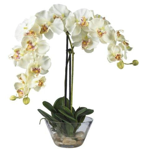 White Phalaenopsis w-Glass Vase Silk Flower Arrangement