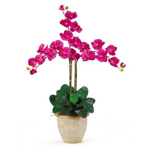 Beauty Triple Stem Phalaenopsis Silk Orchid Arrangement