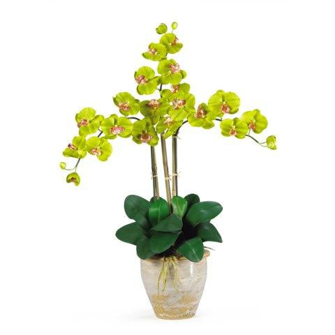 Green Triple Stem Phalaenopsis Silk Orchid Arrangement