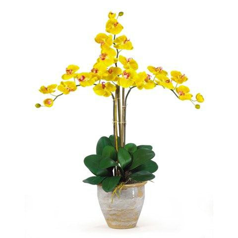 Yellow Triple Stem Phalaenopsis Silk Orchid Arrangement