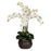 Cream Phalaenopsis w-Decorative Vase Silk Flower Arrangement