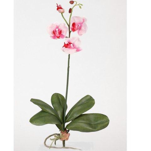 Pink Mini Phalaenopsis Silk Orchid Flower w-Leaves (6 Stems)