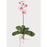 White Pink Mini Phalaenopsis Silk Orchid Flower w-Leaves (6 Stems)