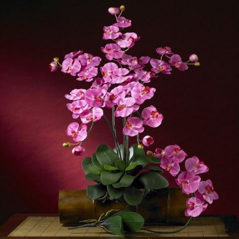 Dark Pink Phalaenopsis Silk Orchid Flower w-Leaves (6 Stems)