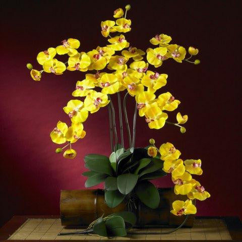 Gold Phalaenopsis Silk Orchid Flower w-Leaves 6 Stems)