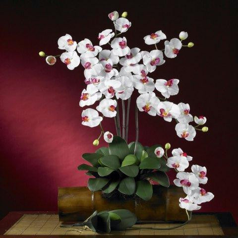 White Phalaenopsis Silk Orchid Flower w-Leaves (6 Stems)