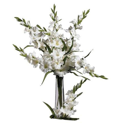 White 36 Inch Gladiola Stem (Set of 12)