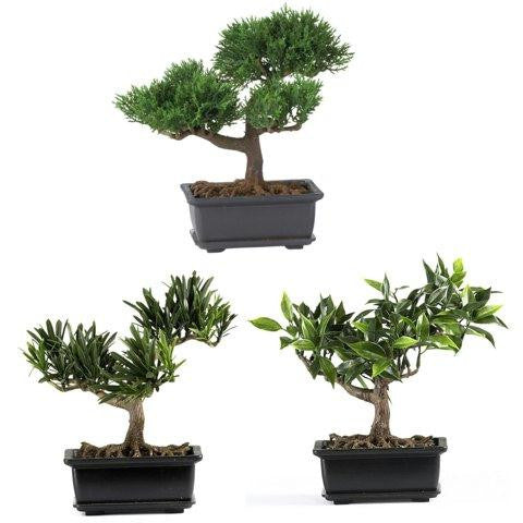 8.5 Inch Bonsai Silk Plant Collection (Set of 3)