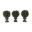 9 Inch Cedar Ball Topiary (Set of 3)