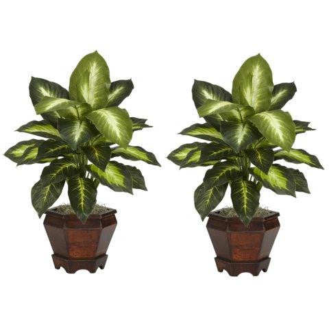 Golden Dieffenbachia w-Wood Vase Silk Plant (Set of 2)