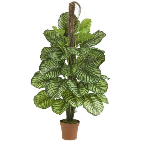 52 Inch Calathea Silk Plant (Real Touch)