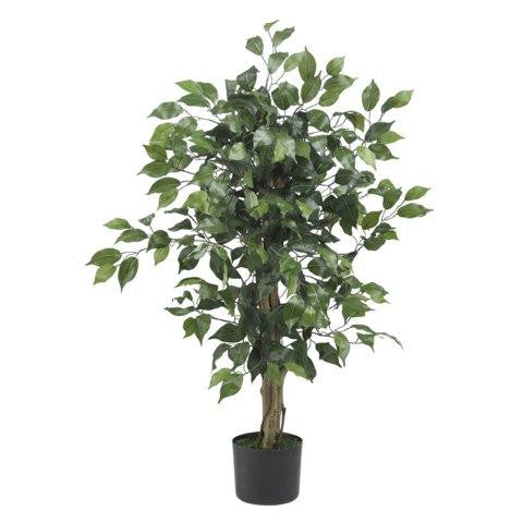 3 Ft Ficus Silk Tree