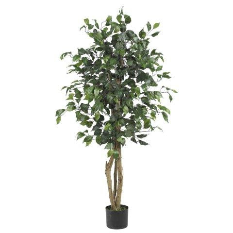 4 Ft Ficus Silk Tree