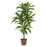 48 Inch Dracaena Silk Plant (Real Touch)