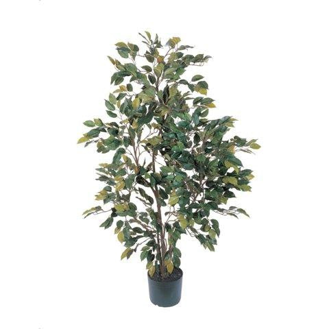 4 Ft Ficus Silk Tree