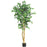 5 Ft Ficus Silk Tree