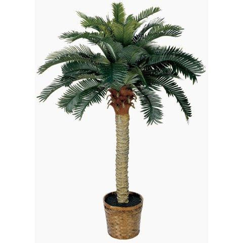 4 Ft Sago Silk Palm Tree