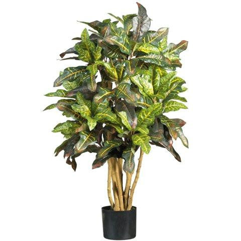 3 Ft Croton Silk Tree