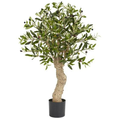 2.5 Ft Olive Silk Tree