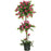 5 Ft Mini Bougainvillea Topiary