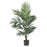 5 Ft Kentia Palm Silk Tree