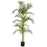 5 Ft Areca Palm Silk Tree