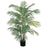 4 Ft Areca Silk Palm Tree