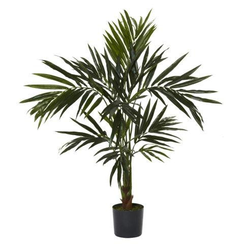 5 Ft Kentia Silk Tree