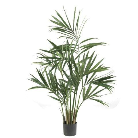 5 Ft Kentia Palm Silk Tree