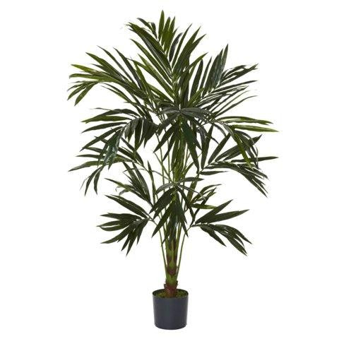 6 Ft Kentia Silk Tree