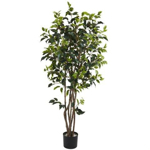 5 Ft Ficus Bushy Silk Tree