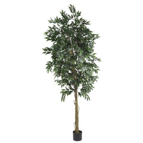 6 Ft Smilax Tree