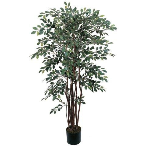 4 Ft Ruscus Silk Tree