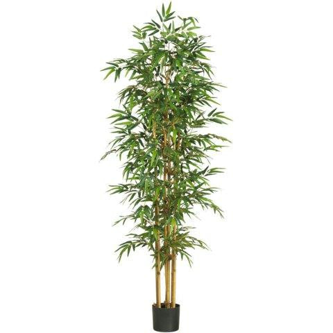 75 Inch Bamboo Silk Tree