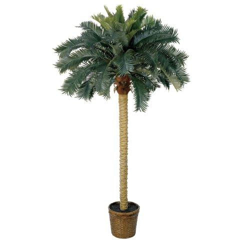 6 Ft Sago Palm Silk Tree