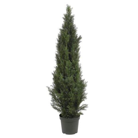 5 Ft Mini Cedar Pine Tree (Indoor-Outdoor)