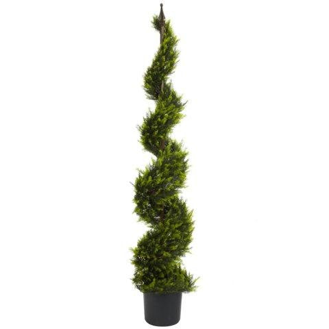 5 Ft Cypress Spiral Tree